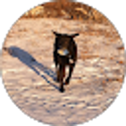 Profile photo of Traci Feller