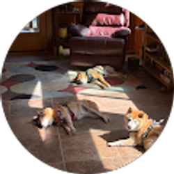 Profile photo of Scott Rosenthal