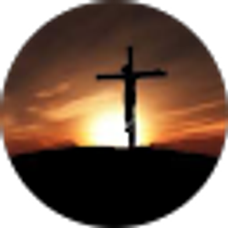 Profile photo of C