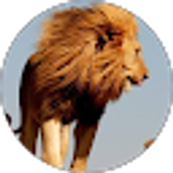 Profile photo of Russ Shaw