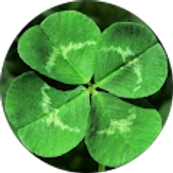 Profile photo of Derek Kenny