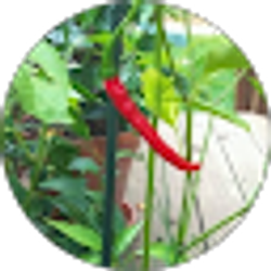 Profile photo of Nadi Findikli