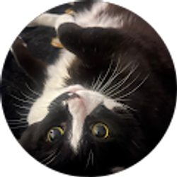 Profile photo of Emily Smith