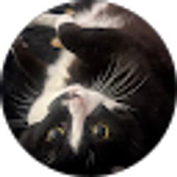 Profile photo of Emily Smith