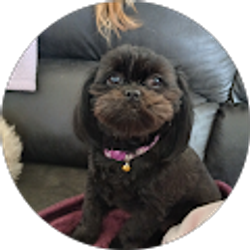 Profile photo of Micki Ramos