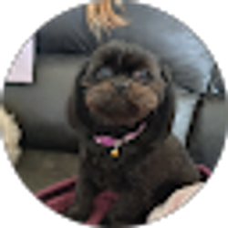 Profile photo of Micki Ramos