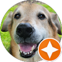 Profile photo of Chase