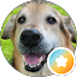 Profile photo of Chase
