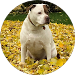 Profile photo of 7thSON