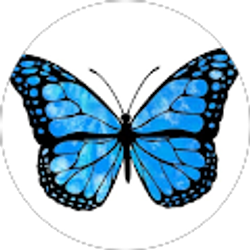 Profile photo of Julio Negron