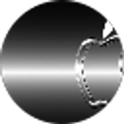 Profile photo of Asheil Bissonauth