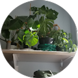 Profile photo of Meek S