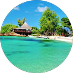 Profile photo of Barbara