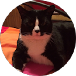 Profile photo of T Braga