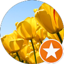 Profile photo of Vanessa Valderrama