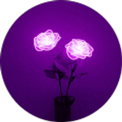 Profile photo of Elizabeth Contreras