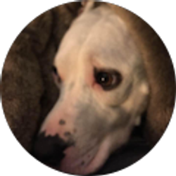 Profile photo of Sherry Purcell