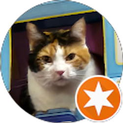 Profile photo of Andy Bogus