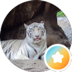 Profile photo of mommygiggles
