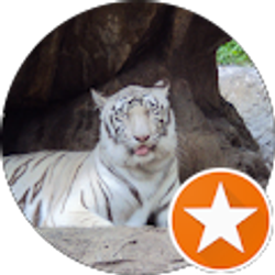 Profile photo of mommygiggles