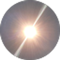 Profile photo of Sonja