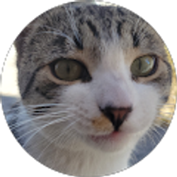 Profile photo of Chris Soto (Dakrine)