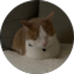 Profile photo of Sean Allison-Priddy