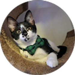 Profile photo of Summer Moore