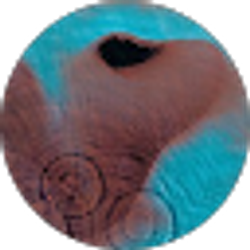 Profile photo of Kai Swing