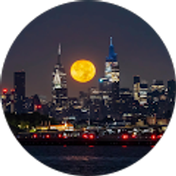 Profile photo of Kim R