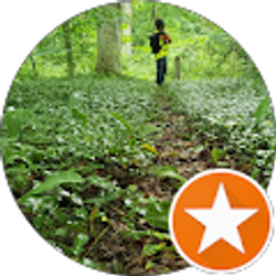 Profile photo of Coty Sopha