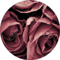 Profile photo of Dora Robles