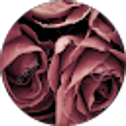 Profile photo of Dora Robles