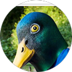 Profile photo of Nicholas Chapman