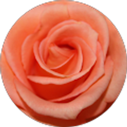 Profile photo of Megan Heroldt