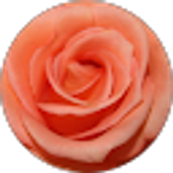Profile photo of Megan Heroldt