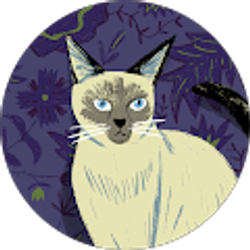 Profile photo of Kajacool