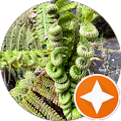 Profile photo of Lasya “Gypsea Spirit”