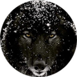 Profile photo of Kim Merkley