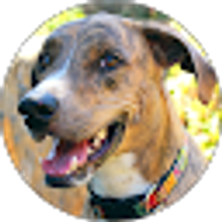 Profile photo of Heidi Cramer
