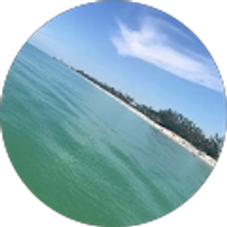 Profile photo of Tyler Miedema