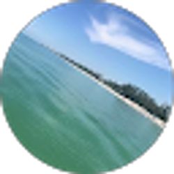 Profile photo of Tyler Miedema