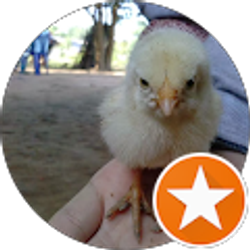 Profile photo of Neejzoo Vaj