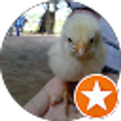 Profile photo of Neejzoo Vaj