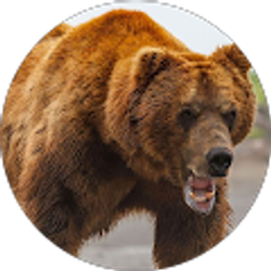 Profile photo of Carl Casalli