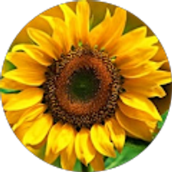 Profile photo of Maria Gonzalez