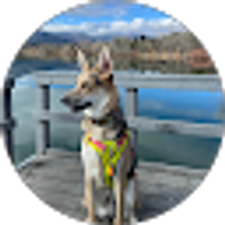 Profile photo of Jesse Stein