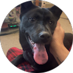 Profile photo of Christian Martinez