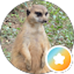 Profile photo of Austin Braswell