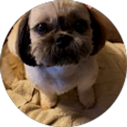 Profile photo of Dianna W